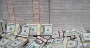 devlet ya da farklı kuruluşlarca uygulanan hibe kredi işlemlerinde de bankalar tercih edilirler.