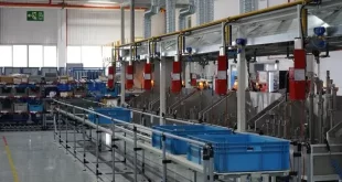 Ekonomide Yeni Dönem